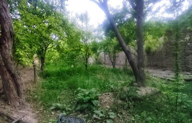 فروش باغ در بهترین منطقه کوشک