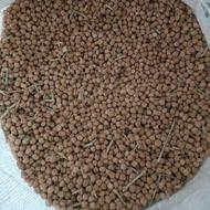 نخود ترکیه(نوک)