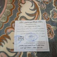 دوچرخه پارکینگ هستیم