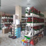 انواع تنوع گل مصنوعی تزیینات خانه و دکری