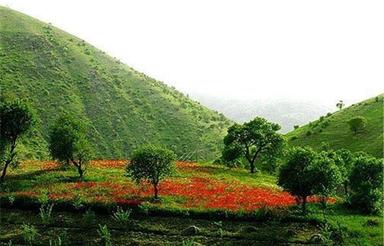 287 متر زمین مسکونی