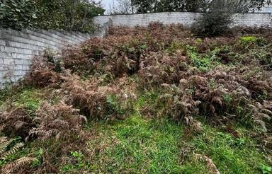 فروش 210 متر زمین چلاو گنگرج کلا