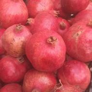 انارکوهپایه