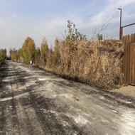 باغچه 300 متری