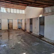 استخدام کارگر اتباع برای کار در باشگاه پرورش سگ در کرج