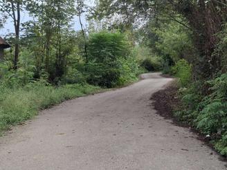 فروش زمین 450 متری در منطقه شفت