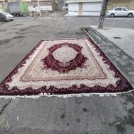 فرش 12متری تاپریس مشهد 500شانه