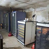 5عدد دستگاه جوجه کشی زیر قیمت