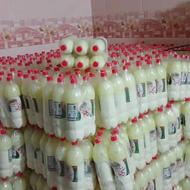 دوغ اغارتی کوچک و بزرگ