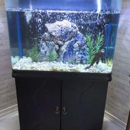 آکواریوم کمد دار با تمام لوازم و 4 عدد ماهی کت و لجن خوار