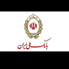 ضامن سهامی عام