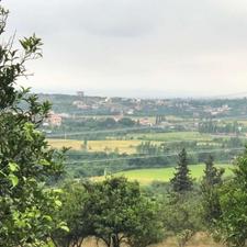 فرصت خرید زمین سنددار 687 متر در جاده نظامی