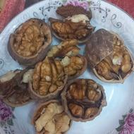 گردو پرچرب ییلاقی