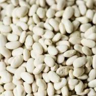 لوبیا سفید وقرمز