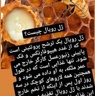 فروش ژل رویال