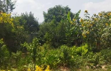 200 متر زمین روستایی با کاربری مسکونی