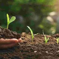 خاک کمپوست...