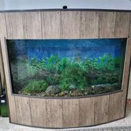 اکواریوم و لوازم