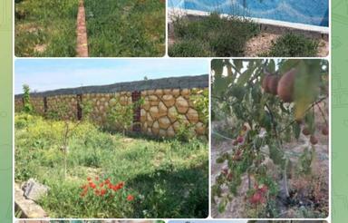 700مترزمین پشت شاهنامه روستای ماریان وخرق