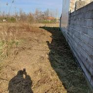 زمین گیلان فروشی