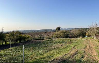 267 متر زمین در ییلاق هزار جریب نکا