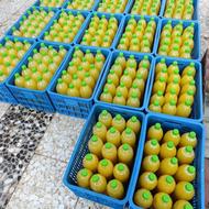 فروش آب نارنج طبیعی