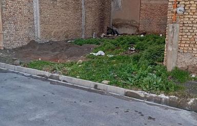 یک قطعه زمین 75 متری در چناران 48/1