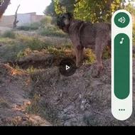 مادع سرابی واگذاری