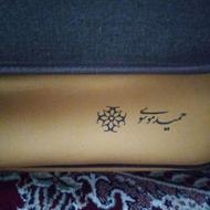 سنتور استاد حمید موسوی