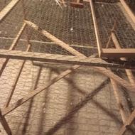 قفس باچوب روس