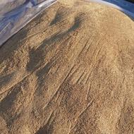 جو بذری فروشی