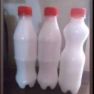 درمان شپش زمانتی