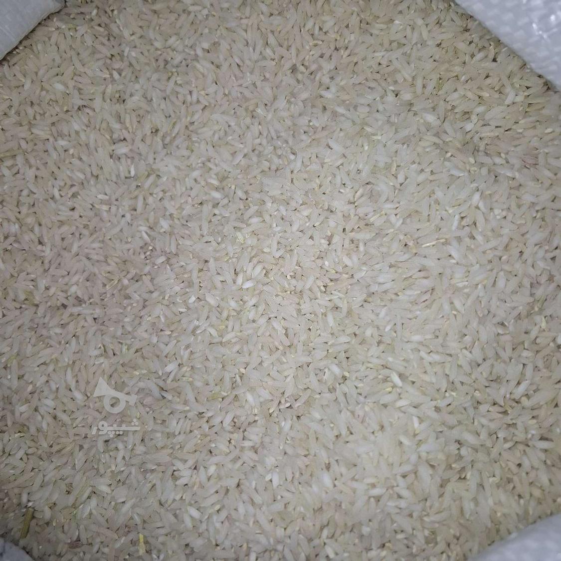 برنج دورود لرستان محلی