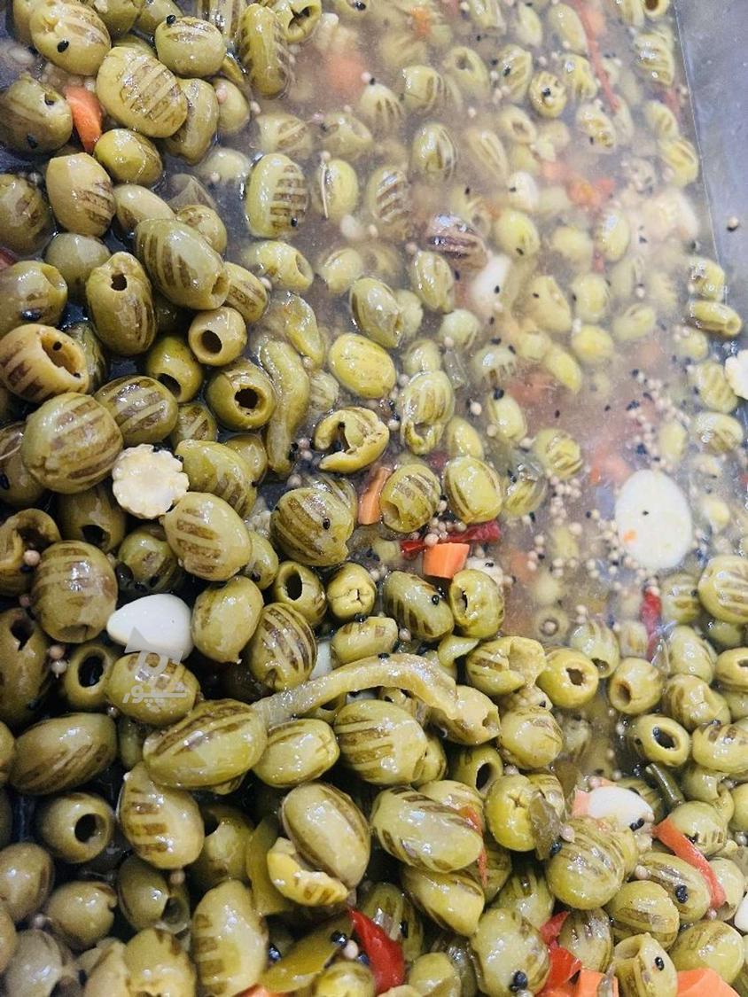 ارتباط مستقیم با تولید کنند ترشجات و زیتون