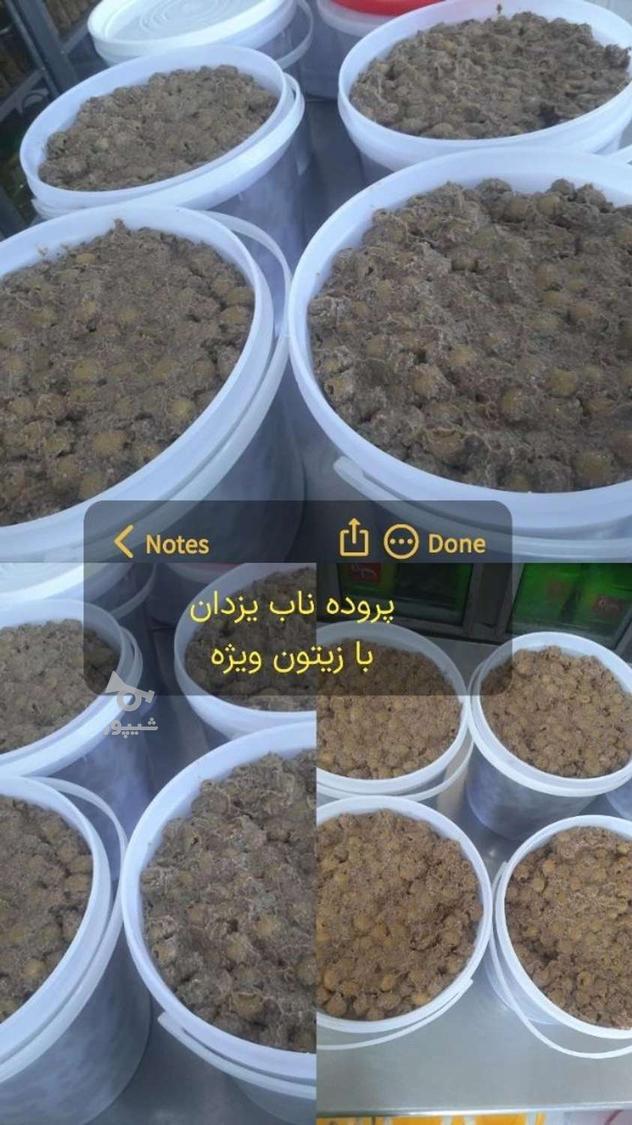 ارتباط مستقیم با تولید کنند ترشجات و زیتون