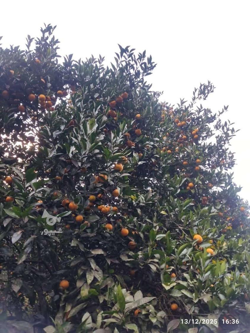 سرمایه گذاری،شراکت،همکاری