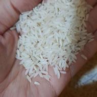 برنج ایرانی مستقیم از کشاورز