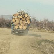 خرید وفروش انواع چوب بابهترین قیمت