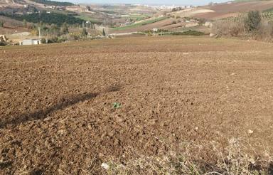 زمین متراژ خوب