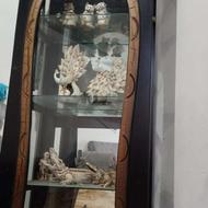 ویترین کاملا سالم