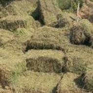 فروش پرس یونجه