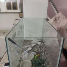 اکواریوم درحد نو