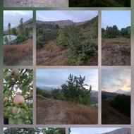 فروش زمین مسکونی 2200 متر در بوالقلم