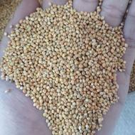 ارزن درشت خارجی