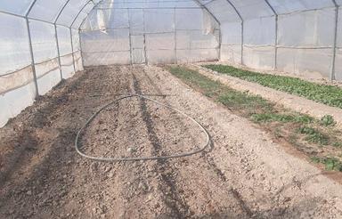 1200مترزمین 400مترگلخانه برق وگازکشاورزی