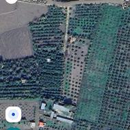 زمین کشاورزی