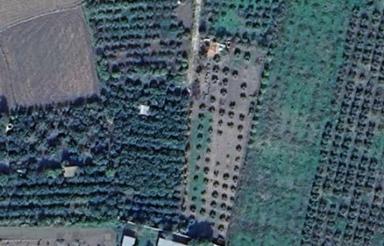 زمین کشاورزی