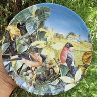 بشقاب انگلیسی