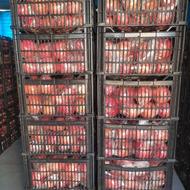 انار انباری شده