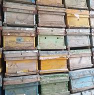 فروش 300کندوخالی زنبورعسل